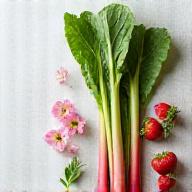 Fresh green leaves and rhubarb stalks representing Spring pastries.